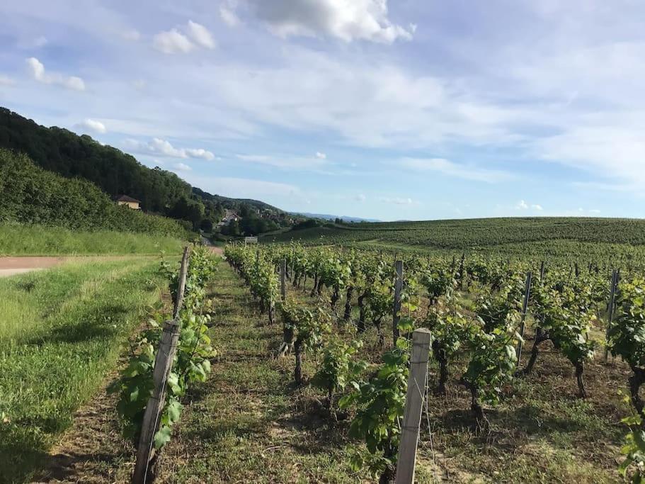 Le Vigneron Au Coeur Des Vignes A Proximite Des Lacs Et Cascades Lits Faits A L'arrivee *